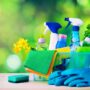 What to look for in green cleaning